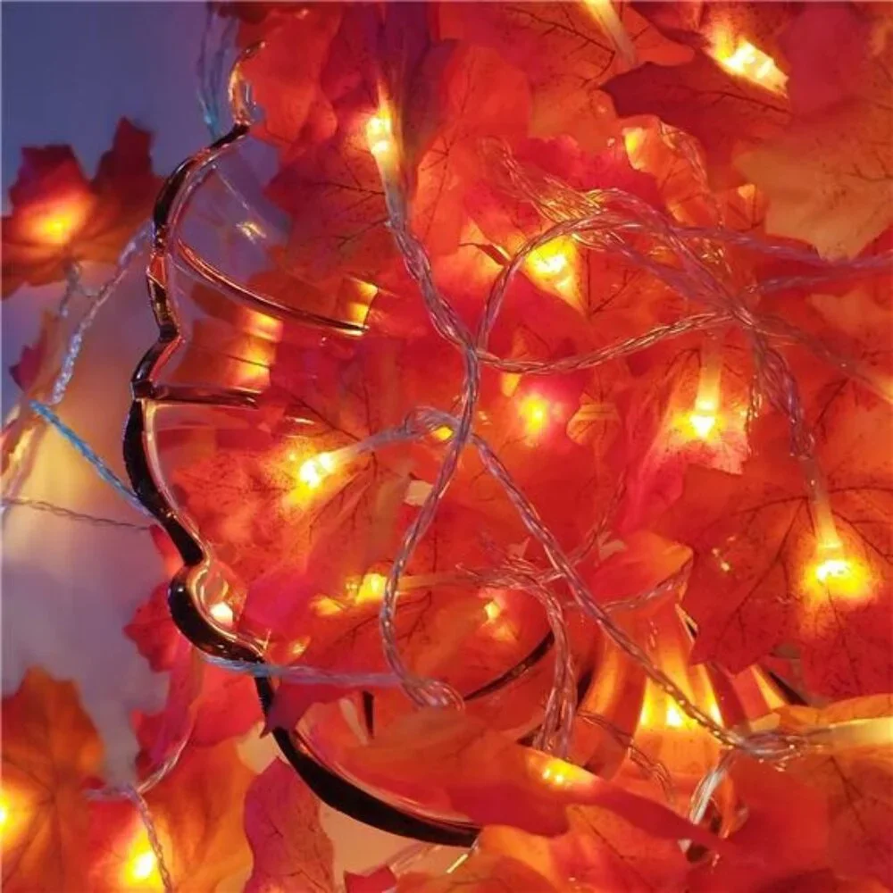 Thanksgiving Decorations Lights LED Indoor Outdoor‎ String Lights for Home Décor